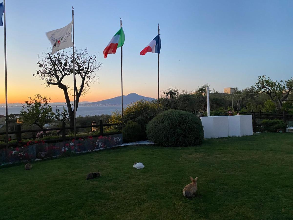 Alojamento de Acomodação e Pequeno-almoço Casale Antonietta Sorrento