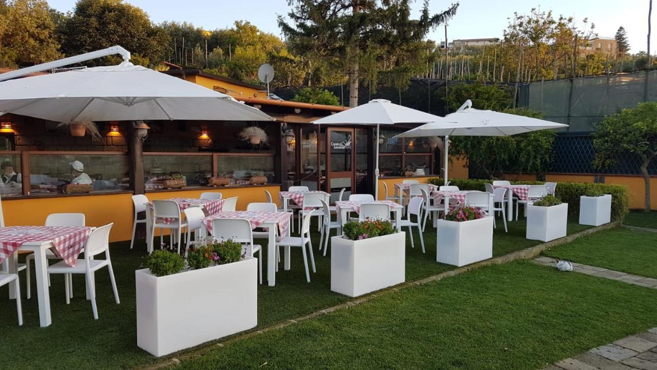 Alojamento de Acomodação e Pequeno-almoço Casale Antonietta 3*